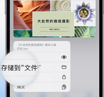 红寺堡apple维修中心分享iPhone文件应用中存储和找到下载文件