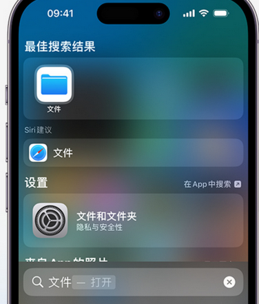 红寺堡apple维修中心分享iPhone文件应用中存储和找到下载文件 