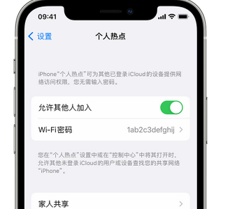 红寺堡apple服务站点分享iPhone上个人热点丢失了怎么办 