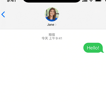 红寺堡apple维修iPhone上无法正常发送iMessage信息