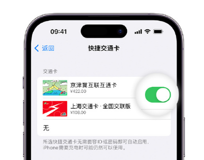 红寺堡apple维修点分享iPhone上更换Apple Pay快捷交通卡手绘卡面 