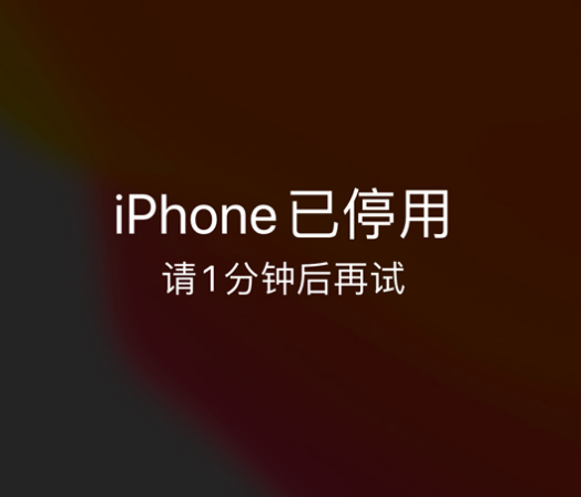 红寺堡苹果手机维修分享:iPhone 显示“不可用”或“已停用”怎么办？还能保留数据吗？ 