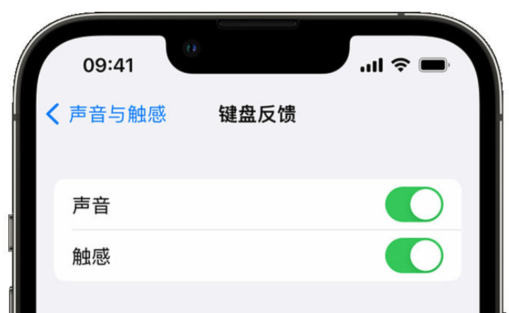 红寺堡苹果手机维修分享iPhone 14触感键盘使用方法 