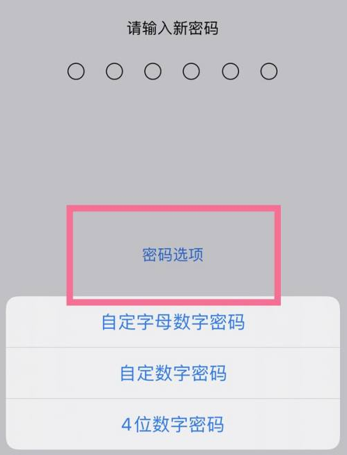 红寺堡苹果14维修分享iPhone 14plus设置密码的方法 