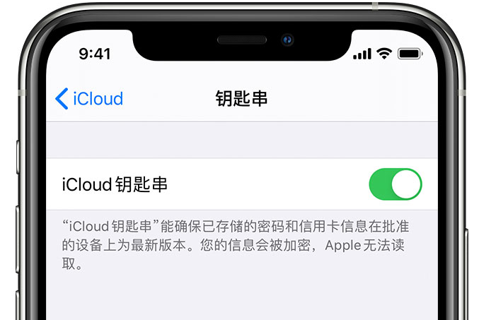 红寺堡苹果手机维修分享在 iPhone 上开启 iCloud 钥匙串之后会储存哪些信息 