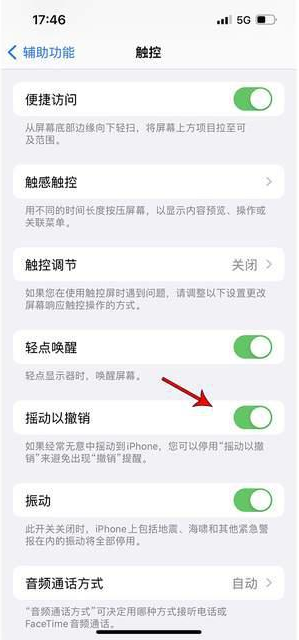 红寺堡苹果手机维修分享iPhone手机如何设置摇一摇删除文字 